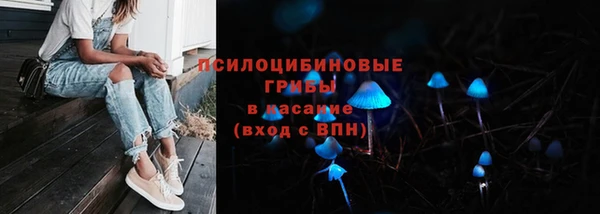 мет Медвежьегорск