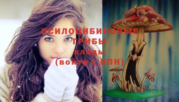 mdma Медногорск