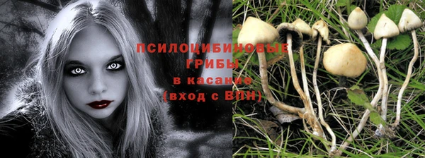 мет Медвежьегорск